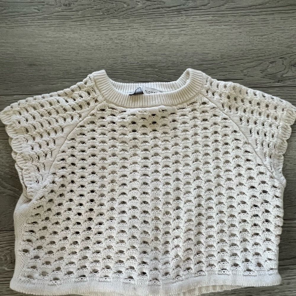 Zara Open Knit Cropped Top